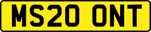 MS20ONT