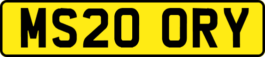 MS20ORY