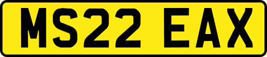 MS22EAX