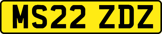 MS22ZDZ