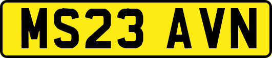 MS23AVN