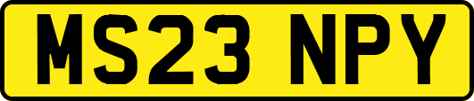 MS23NPY