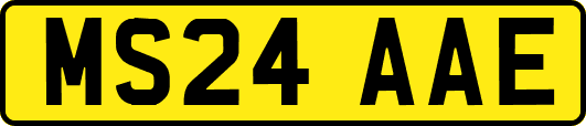 MS24AAE