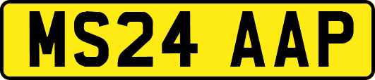 MS24AAP