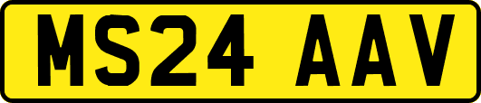 MS24AAV