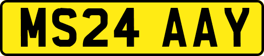 MS24AAY