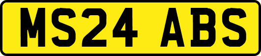 MS24ABS