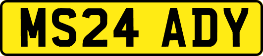 MS24ADY