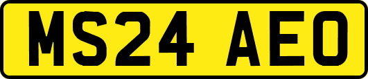 MS24AEO