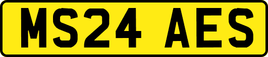 MS24AES