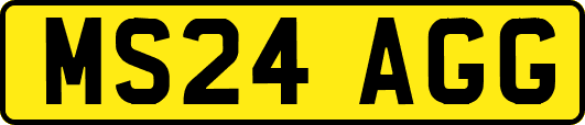 MS24AGG