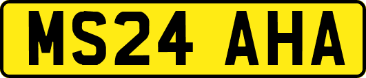 MS24AHA