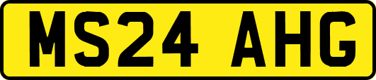 MS24AHG