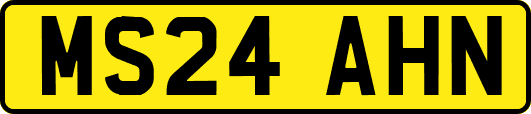 MS24AHN
