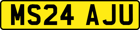 MS24AJU