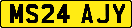 MS24AJY