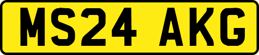 MS24AKG