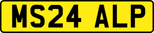 MS24ALP