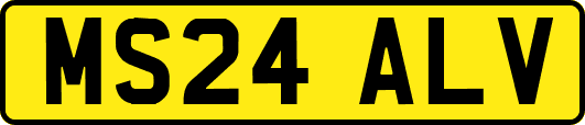 MS24ALV