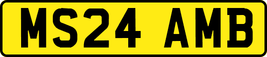 MS24AMB