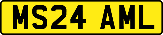 MS24AML