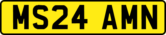 MS24AMN