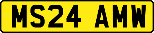 MS24AMW