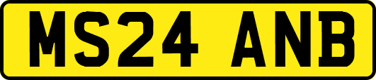 MS24ANB
