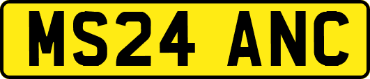 MS24ANC