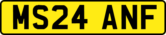 MS24ANF