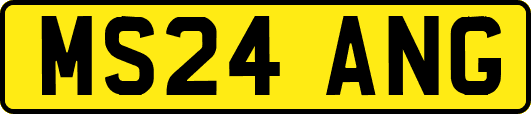MS24ANG