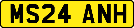 MS24ANH