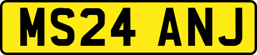 MS24ANJ