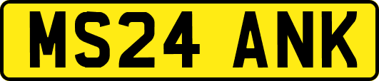 MS24ANK