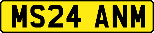 MS24ANM