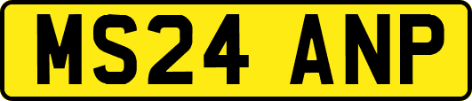 MS24ANP