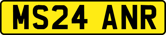 MS24ANR