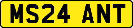 MS24ANT