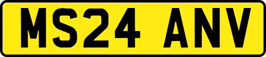 MS24ANV