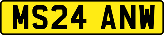 MS24ANW