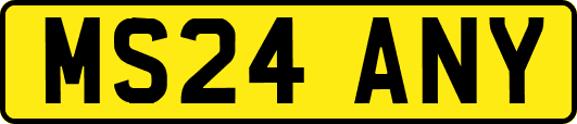MS24ANY