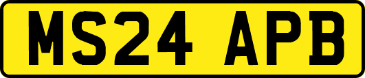 MS24APB