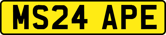 MS24APE