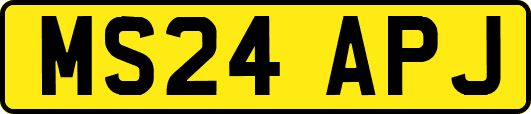 MS24APJ