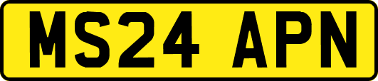 MS24APN