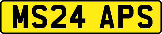 MS24APS