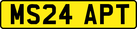 MS24APT