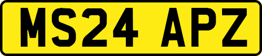 MS24APZ