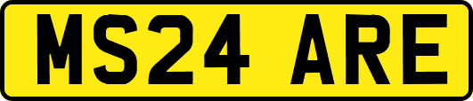 MS24ARE