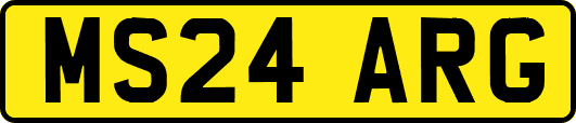 MS24ARG